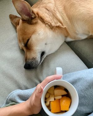 Image post by @pupcorntreats on Instagram