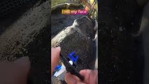 Video post by @Nitro Circus on YouTube