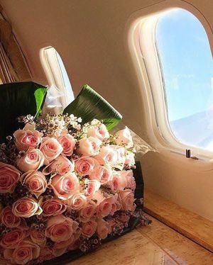 Image post by @wheelsup on Instagram