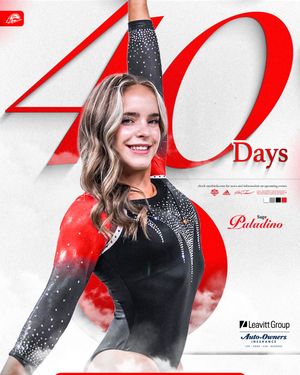 Image post by @suugymnastics on Instagram