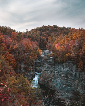 Image post by @g.starcreative on Instagram