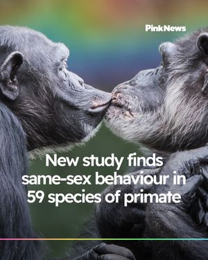 Image post by @pinknews on Instagram