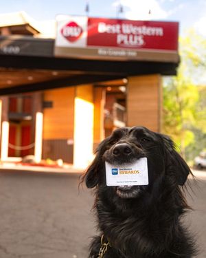 Image post by @bestwestern on Instagram