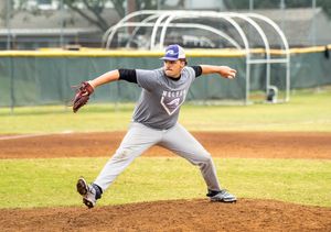 Image post by @nelsonubaseball on Instagram