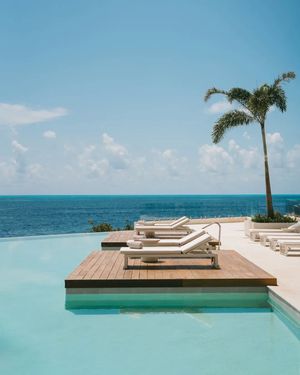 Image post by @shawellness_mexico on Instagram