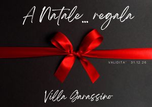 Image post by @villagarassino on Instagram