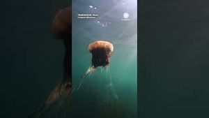 Video post by @accuweather on YouTube