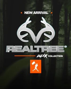 Image post by @baseballism on Instagram