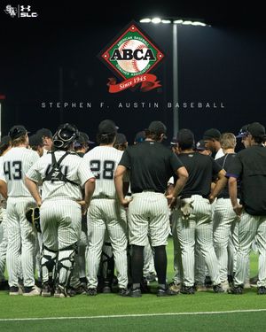 Image post by @sfa_baseball on Instagram