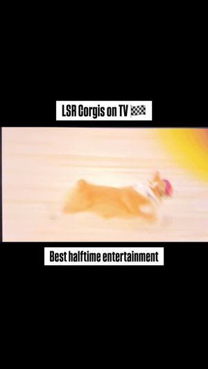 Video post by @littlestumpsracing1 on Facebook