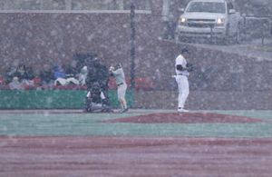 Image post by @netelitebaseball on Instagram