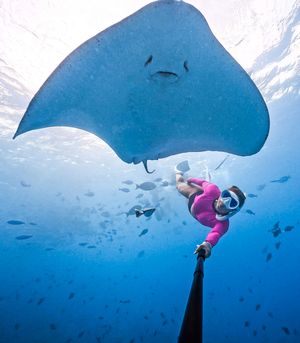 Image post by @gopro on Instagram