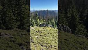 Video post by @emersonhubbard on YouTube