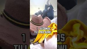 Video post by @texanstoro1 on YouTube