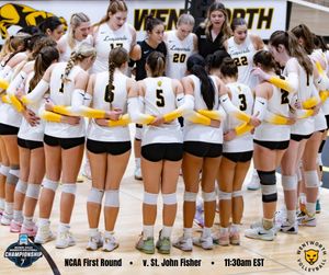 Image post by @witwvb on Instagram