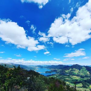 Image post by @andresherrera0 on Instagram