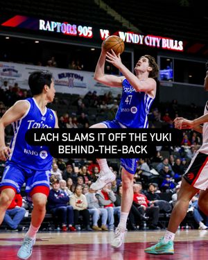 Image post by @windycitybulls on Instagram