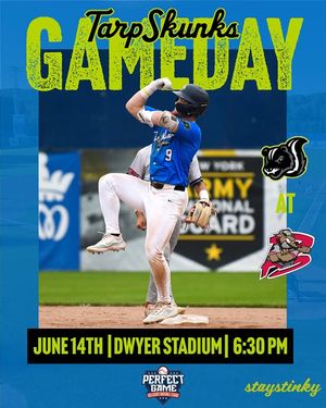 Image post by @tarpskunks on Instagram