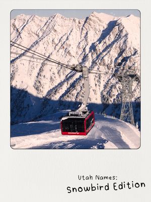 Image post by @snowbird on Instagram