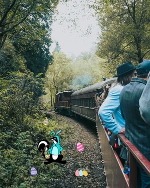 Image post by @skunktrain on Instagram
