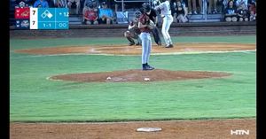 Image post by @ilmsharks on Instagram