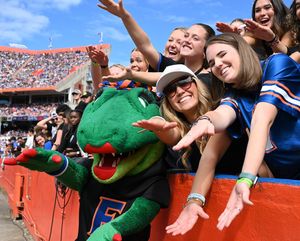 Image post by @albertathegator on Instagram