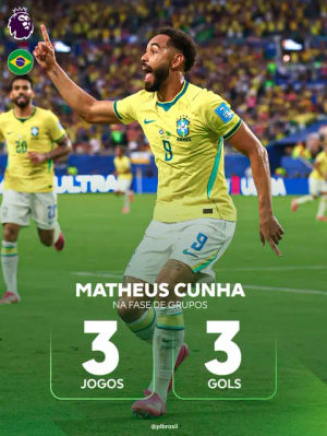 Image post by @plbrasil on TikTok