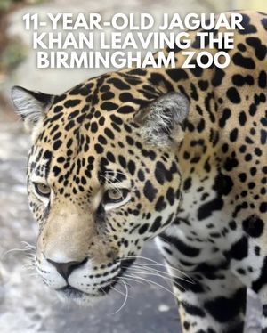 Image post by @bhamnow on Instagram