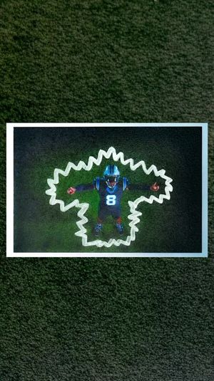 Video post by @panthers on TikTok