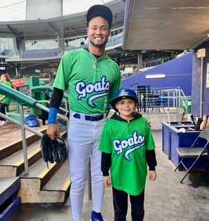 Image post by @GoYardGoats on Twitter