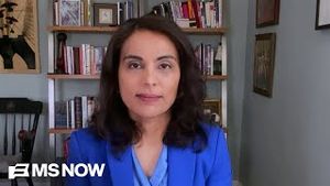 Video post by @msnbc on YouTube