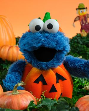 Image post by @sesamestreet on Instagram