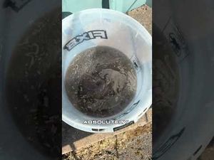 Video post by @fix8carcare on YouTube