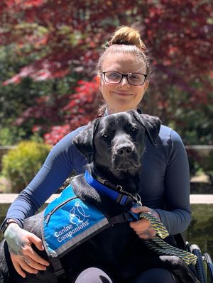 Image post by @canineorg on Instagram