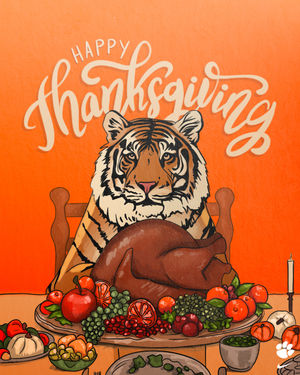 Image post by @clemsontigers on Instagram