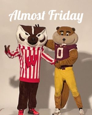 Image post by @goldythegopher on Instagram