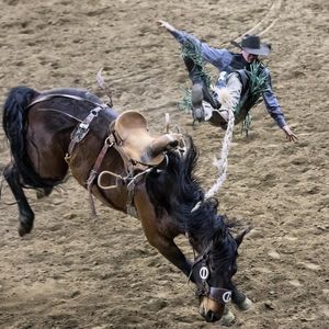 Image post by @nationalwestern on Instagram