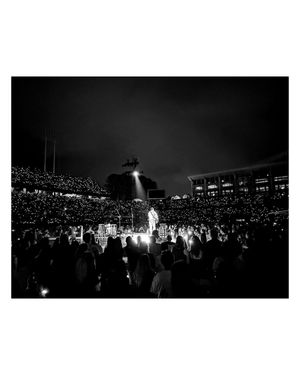 Image post by @hammergfx on Instagram