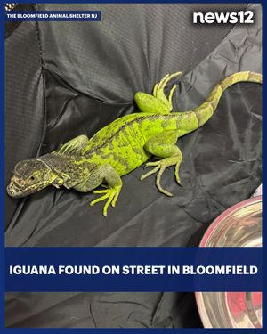 Image post by @news12nj on Instagram