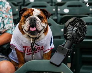 Image post by @Twins on Twitter