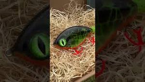 Video post by @jonasederfishing on YouTube