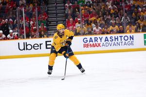 Image post by @PredsNHL on Twitter