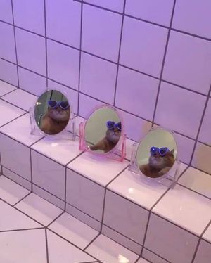 Image post by @impressbeauty on Facebook