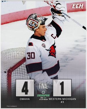 Image post by @everythingcollegehockey on Instagram