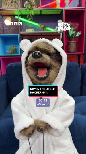 Video post by @cbbc on TikTok