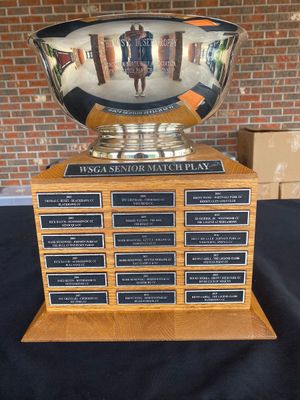 Image post by @WSGAGolf on Twitter