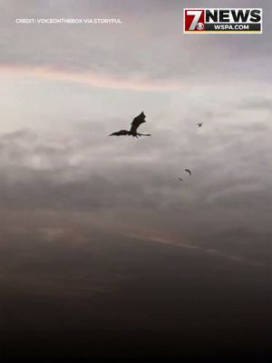 Video post by @wspatv on Facebook