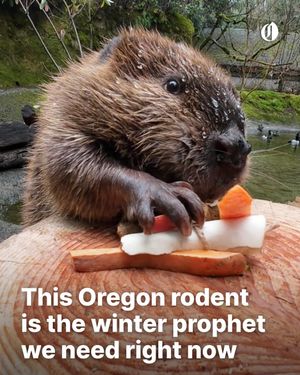Image post by @theoregonian on Instagram