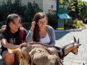 Image post by @usfca on Instagram