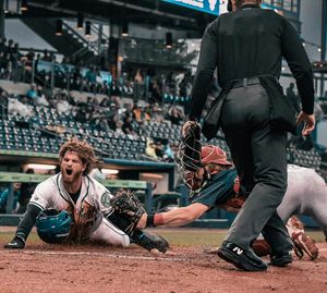 Image post by @hartfordyardgoats on Instagram